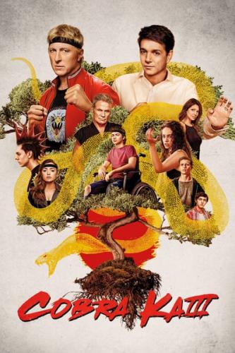 Cobra Kai S03 720p NF WEBRip DDP5 1 x264-NTb